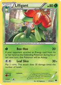 Lilligant [BKP - 8/122]