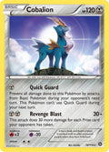 Cobalion [STS - 74/114]