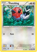 Fletchling [STS - 94/114]