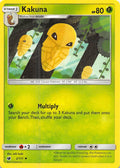 Kakuna [SM04 - 2/111]