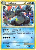 Feraligatr - 20/123 (Cracked Ice Holo) [PR - 020/123]