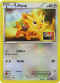 Lillipup - 81/114 (League Promo) [PR - 081/114]