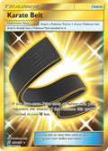 Karate Belt (Secret) [SM11 - 252/236]