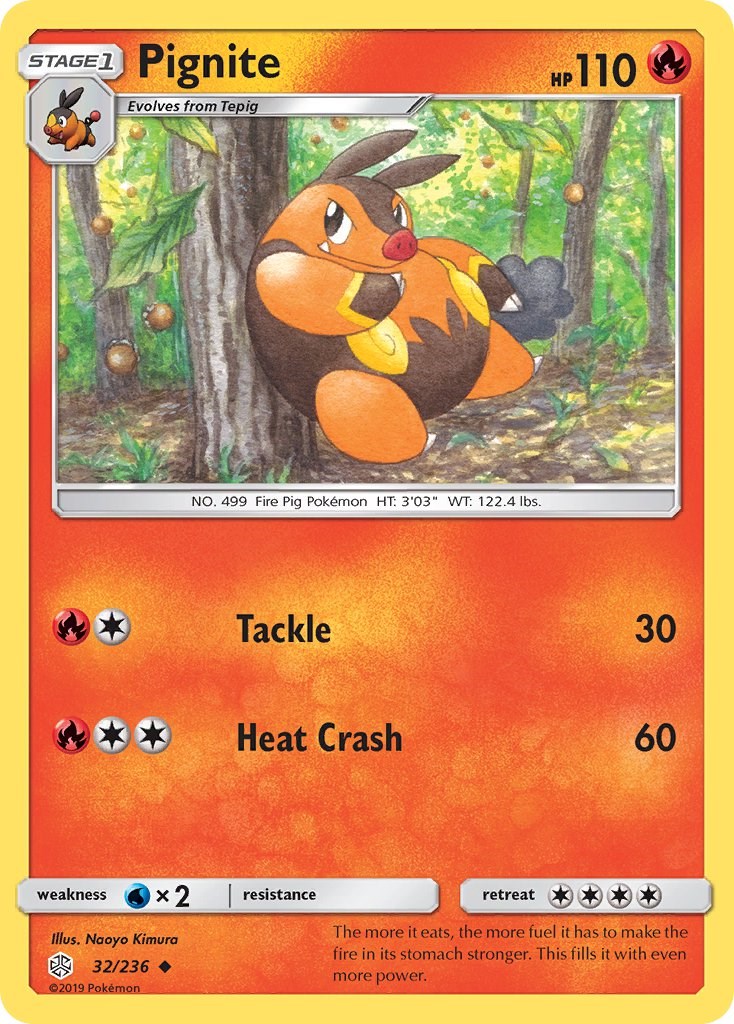 Pignite [SM12 - 32/236]