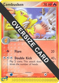 Combusken - 009 (Nintendo Black Star Promo) [PR - 009]