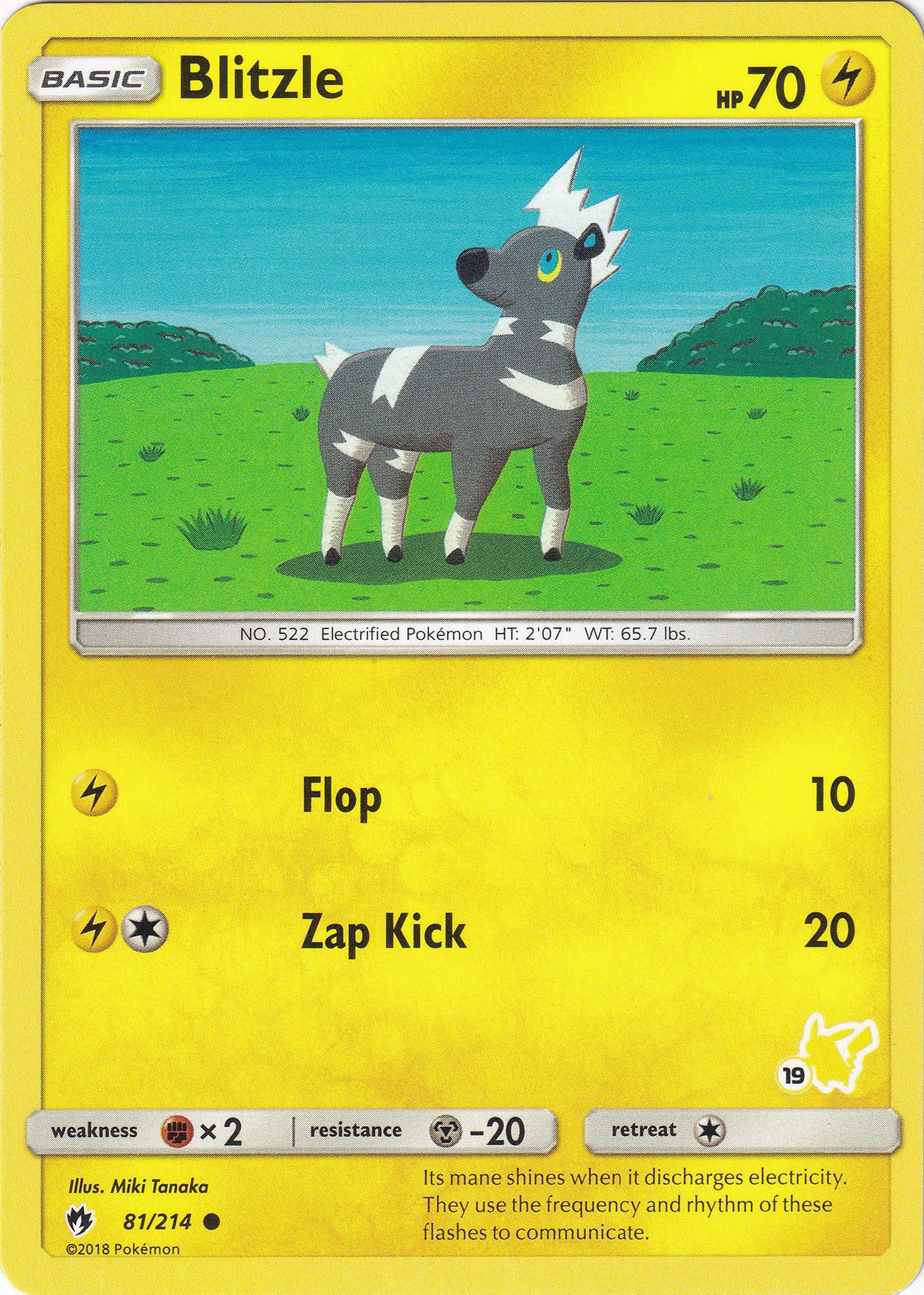 Blitzle - 81/214 (#19 Pikachu Stamped) [BTA - 081/214]