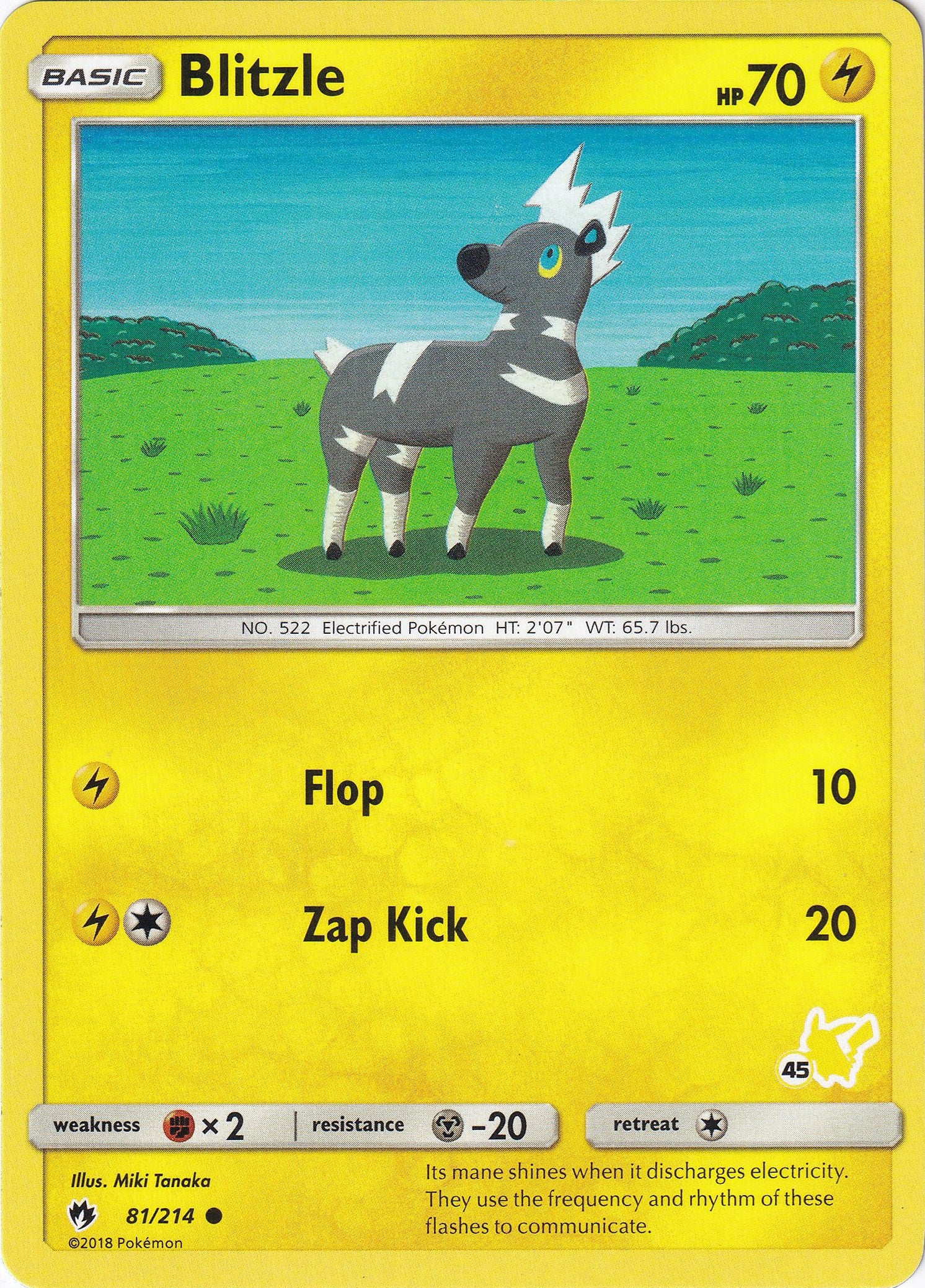 Blitzle - 81/214 (#45 Pikachu Stamped) [BTA - 081/214]