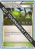 Forest of Giant Plants - 2017 (Kabu Fukase) [WCD - 74/98]