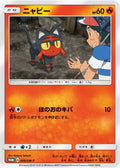 Litten - 059/SM-P (Ash vs Team Rocket Deck Kit) [AVTR - 059/SM-P]