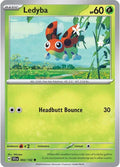 Ledyba [SCR - 002/142]
