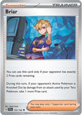 Briar - 132/142 [SCR - 132/142]