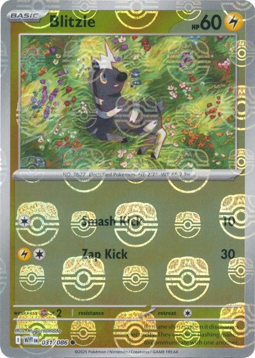 Blitzle (Master Ball Pattern) [WHT - 031/086]