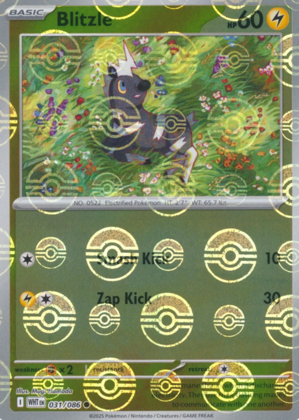Blitzle (Poke Ball Pattern) [WHT - 031/086]