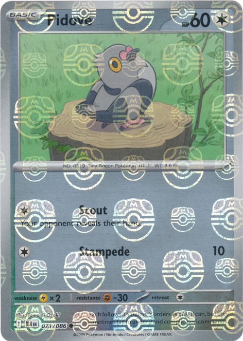 Pidove (Master Ball Pattern) [BLK - 071/086]