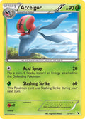 Accelgor [NVI - 12/101]