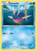 Carvanha [PLS - 32/135]