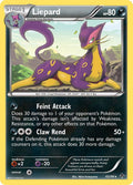 Liepard [EPO - 65/98]