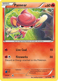 Pansear [XY - 22/146]