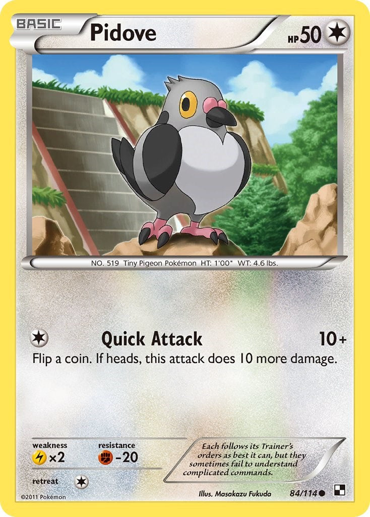Pidove [BLW - 84/114]