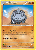 Rhyhorn [XY - 60/146]